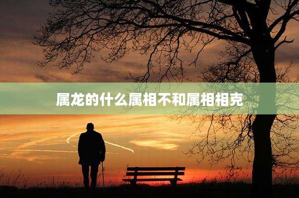 属龙的什么属相不和属相相克
