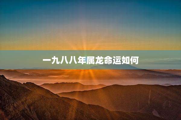 一九八八年属龙命运如何