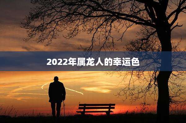 2022年属龙人的幸运色