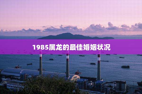 1985属龙的最佳婚姻状况