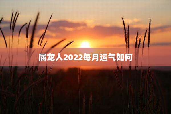 属龙人2022每月运气如何
