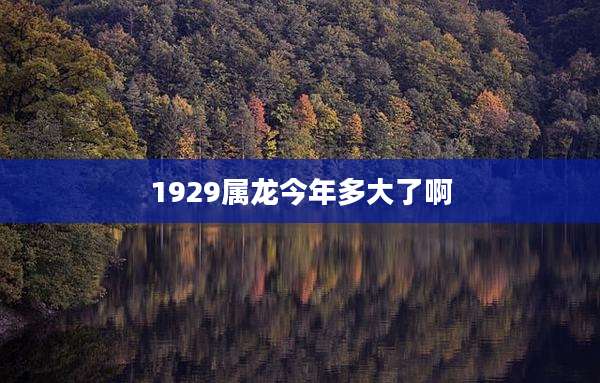 1929属龙今年多大了啊