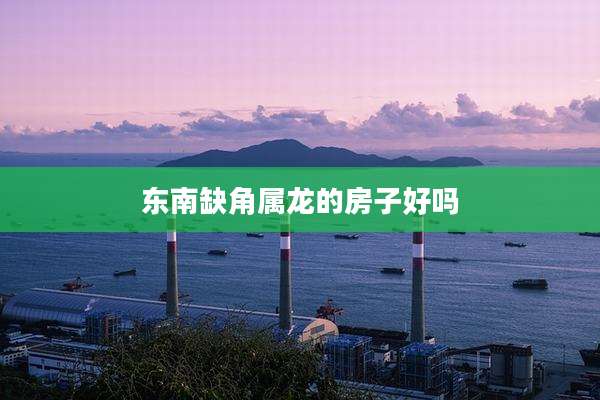 东南缺角属龙的房子好吗