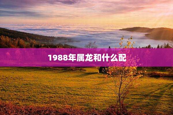 1988年属龙和什么配
