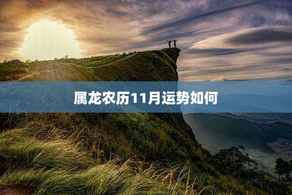 属龙农历11月运势如何