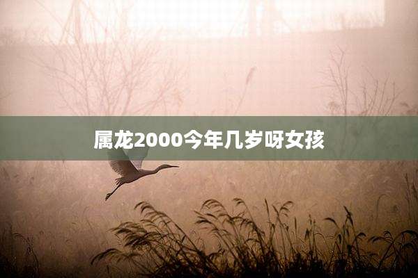 属龙2000今年几岁呀女孩
