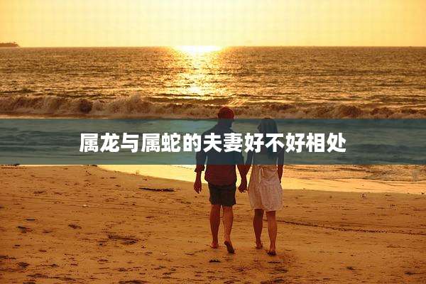 属龙与属蛇的夫妻好不好相处