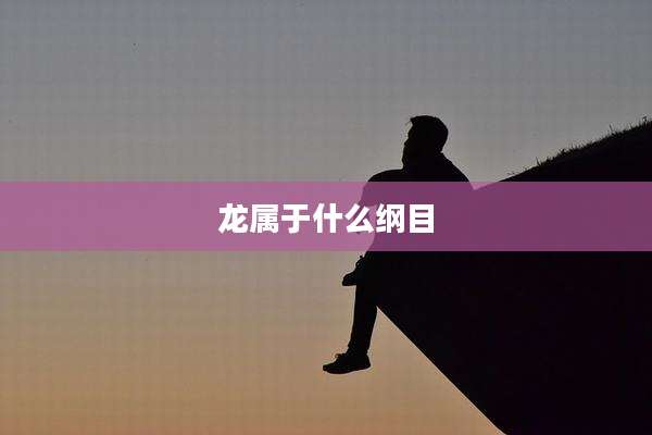 龙属于什么纲目