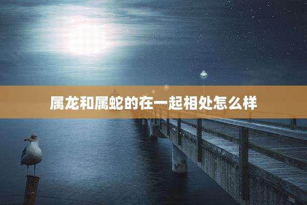 属龙和属蛇的在一起相处怎么样