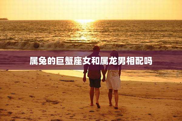 属兔的巨蟹座女和属龙男相配吗