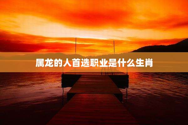 属龙的人首选职业是什么生肖