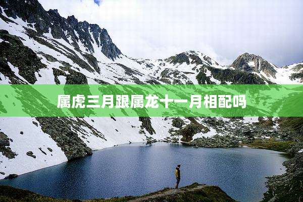 属虎三月跟属龙十一月相配吗