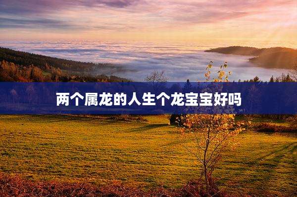 两个属龙的人生个龙宝宝好吗