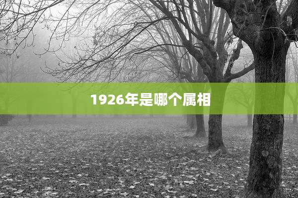 1926年是哪个属相