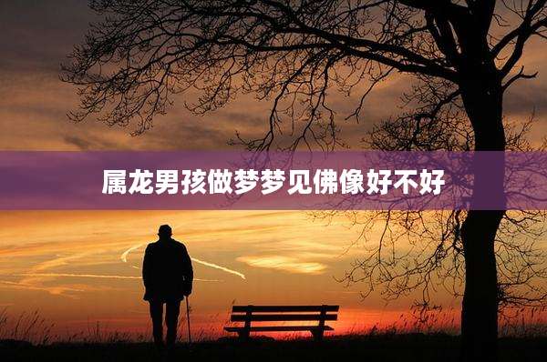 属龙男孩做梦梦见佛像好不好