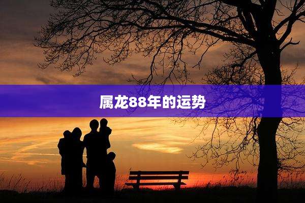 属龙88年的运势
