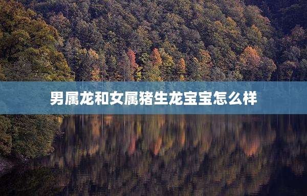 男属龙和女属猪生龙宝宝怎么样