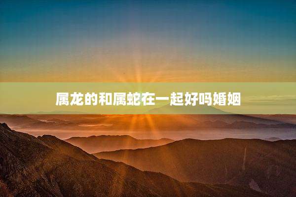 属龙的和属蛇在一起好吗婚姻