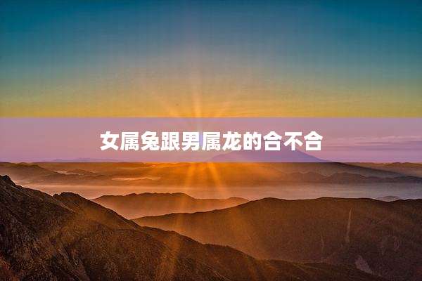 女属兔跟男属龙的合不合