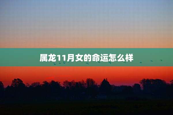 属龙11月女的命运怎么样