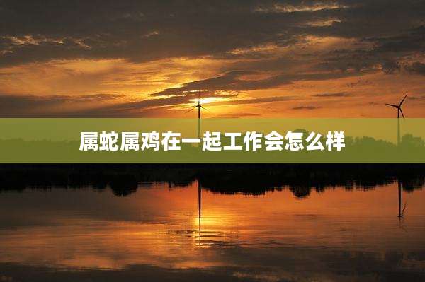 属蛇属鸡在一起工作会怎么样