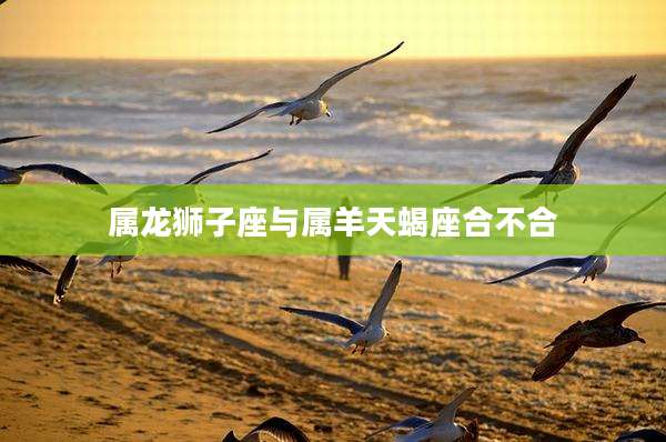 属龙狮子座与属羊天蝎座合不合