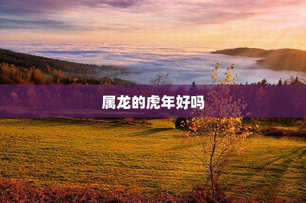 属龙的虎年好吗