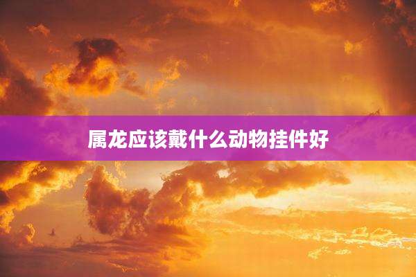 属龙应该戴什么动物挂件好