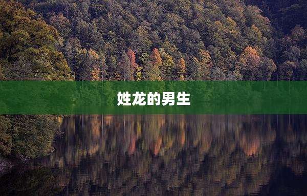 姓龙的男生