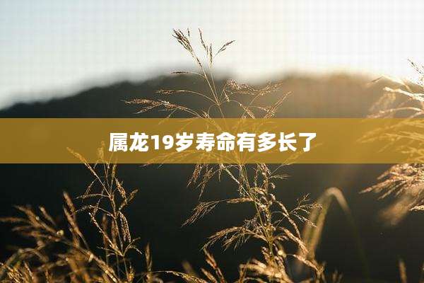 属龙19岁寿命有多长了