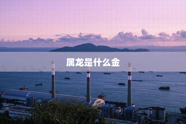 属龙是什么金