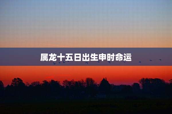 属龙十五日出生申时命运