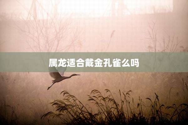属龙适合戴金孔雀么吗