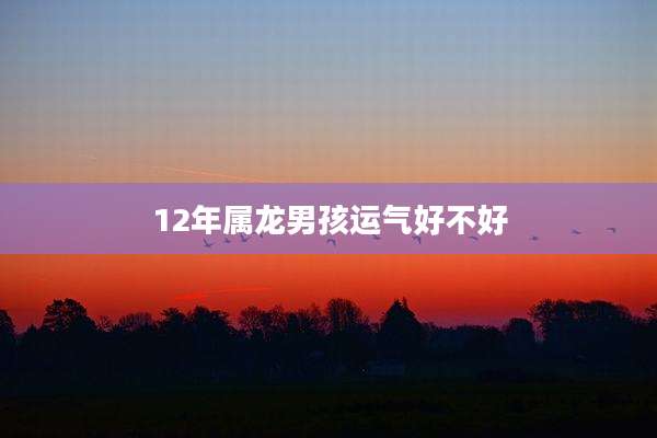 12年属龙男孩运气好不好