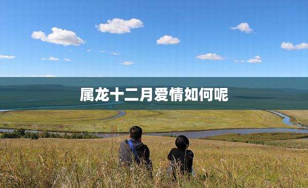 属龙十二月爱情如何呢