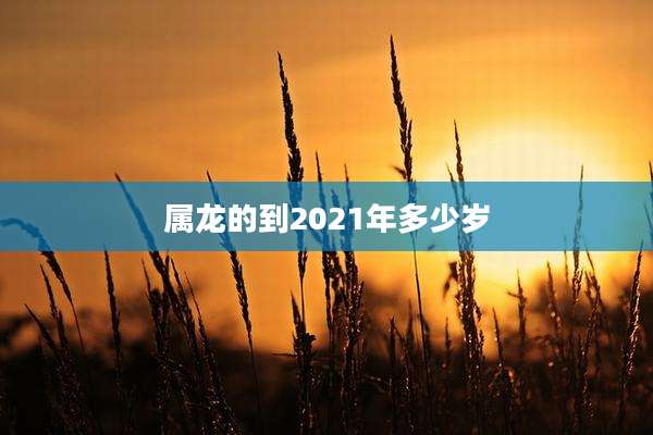 属龙的到2021年多少岁