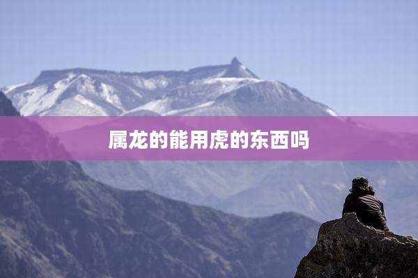 属龙的能用虎的东西吗