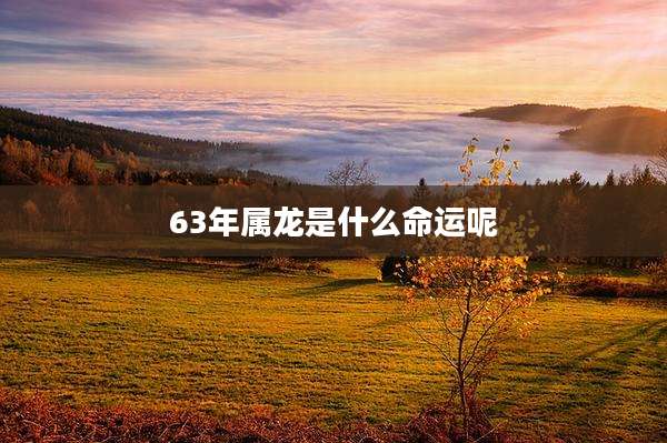 63年属龙是什么命运呢