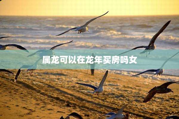 属龙可以在龙年买房吗女