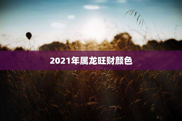 2021年属龙旺财颜色