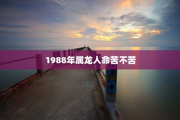 1988年属龙人命苦不苦