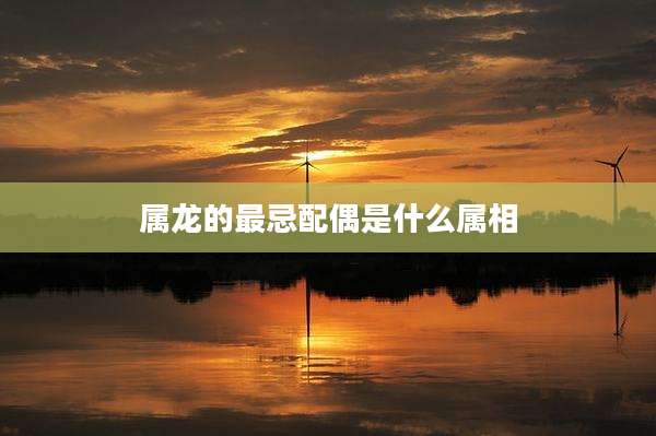 属龙的最忌配偶是什么属相