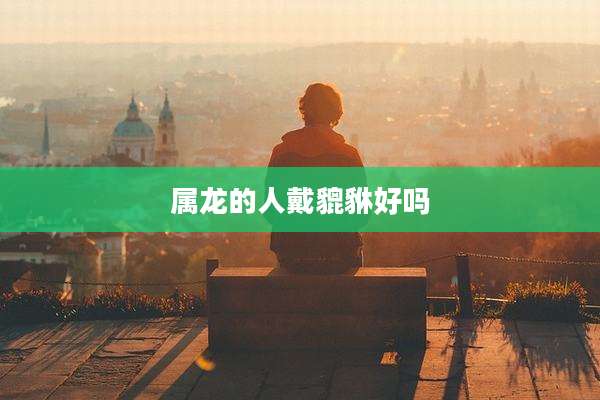 属龙的人戴貔貅好吗