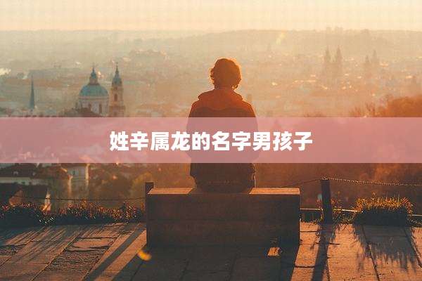 姓辛属龙的名字男孩子
