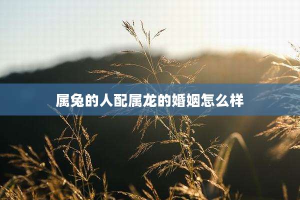 属兔的人配属龙的婚姻怎么样