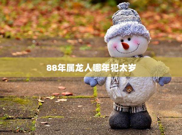 88年属龙人哪年犯太岁