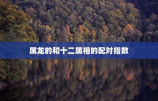 属龙的和十二属相的配对指数