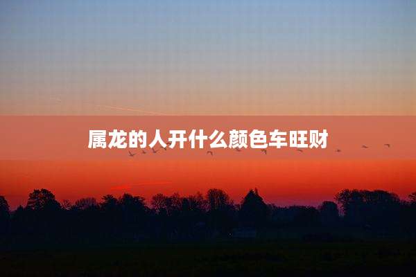 属龙的人开什么颜色车旺财