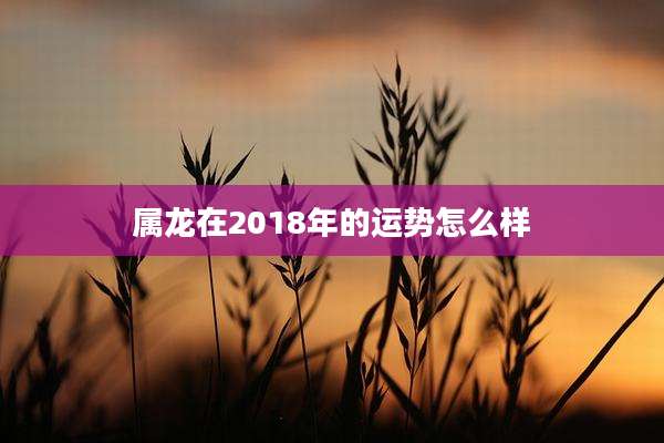 属龙在2018年的运势怎么样