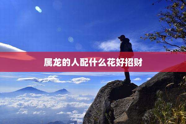 属龙的人配什么花好招财